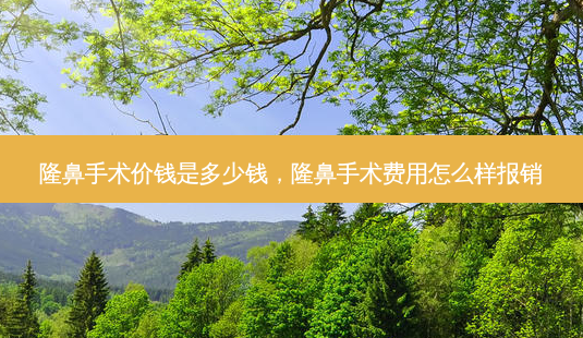 隆鼻手术价钱是多少钱,隆鼻手术费用怎么样报销-第1张图片-美美网 隆鼻手术价钱是多少钱,隆鼻手术费用怎么样报销-第1张图片-美美网