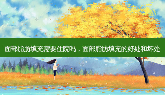 面部脂肪填充需要住院吗,面部脂肪填充的好处和坏处-第1张图片-美美网 面部脂肪填充需要住院吗,面部脂肪填充的好处和坏处-第1张图片-美美网