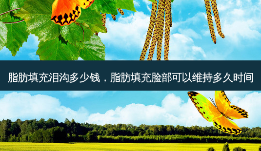 脂肪填充泪沟多少钱,脂肪填充脸部可以维持多久时间-第1张图片-美美网 脂肪填充泪沟多少钱,脂肪填充脸部可以维持多久时间-第1张图片-美美网