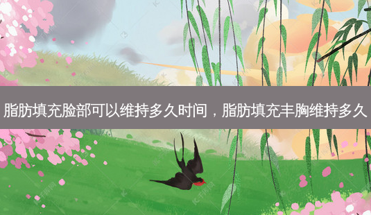 脂肪填充脸部可以维持多久时间,脂肪填充丰胸维持多久-第1张图片-美美网 脂肪填充脸部可以维持多久时间,脂肪填充丰胸维持多久-第1张图片-美美网