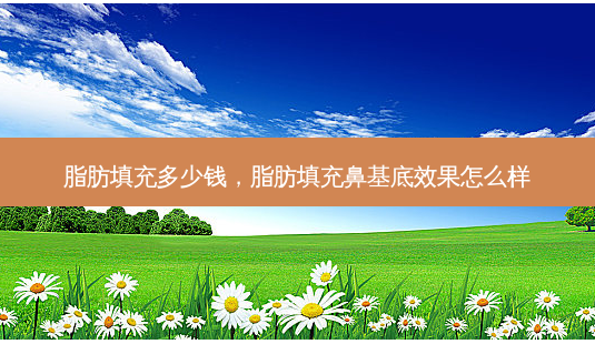 脂肪填充多少钱,脂肪填充鼻基底效果怎么样-第1张图片-美美网 脂肪填充多少钱,脂肪填充鼻基底效果怎么样-第1张图片-美美网