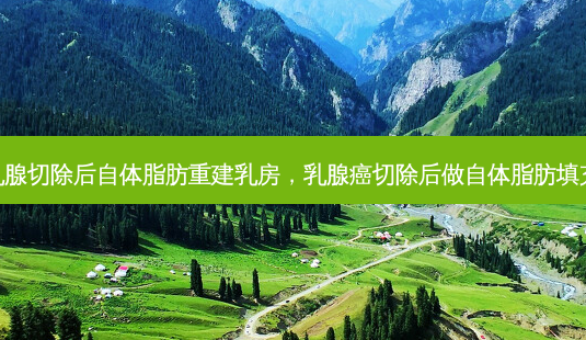 乳腺切除后自体脂肪重建 *** ,乳腺癌切除后做自体脂肪填充-第1张图片-美美网 乳腺切除后自体脂肪重建 *** ,乳腺癌切除后做自体脂肪填充-第1张图片-美美网