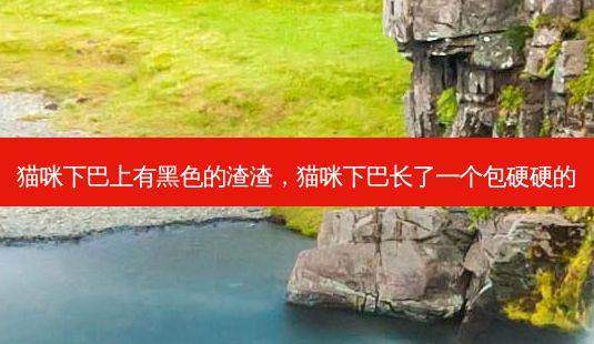 猫咪下巴上有黑色的渣渣,猫咪下巴长了一个包硬硬的-第1张图片-美美网 猫咪下巴上有黑色的渣渣,猫咪下巴长了一个包硬硬的-第1张图片-美美网