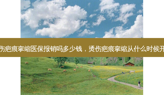 烫伤疤痕挛缩医保报销吗多少钱,烫伤疤痕挛缩从什么时候开始-第1张图片-美美网 烫伤疤痕挛缩医保报销吗多少钱,烫伤疤痕挛缩从什么时候开始-第1张图片-美美网