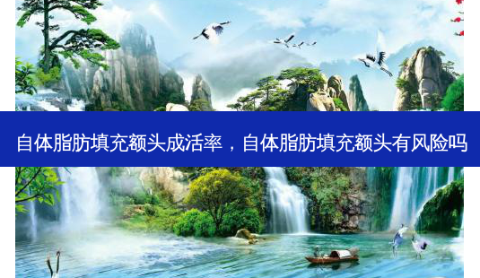自体脂肪填充额头成活率,自体脂肪填充额头有风险吗-第1张图片-美美网 自体脂肪填充额头成活率,自体脂肪填充额头有风险吗-第1张图片-美美网