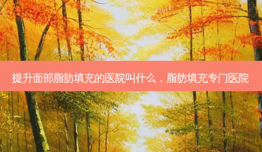 提升面部脂肪填充的医院叫什么,脂肪填充专门医院-第1张图片-美美网 提升面部脂肪填充的医院叫什么,脂肪填充专门医院-第1张图片-美美网