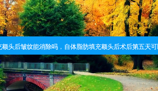 自体脂肪填充额头后皱纹能消除吗,自体脂肪填充额头后术后第五天可以吃黄豆芽吗-第1张图片-美美网 自体脂肪填充额头后皱纹能消除吗,自体脂肪填充额头后术后第五天可以吃黄豆芽吗-第1张图片-美美网