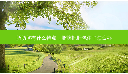 脂肪胸有什么特点,脂肪把肝包住了怎么办-第1张图片-美美网 脂肪胸有什么特点,脂肪把肝包住了怎么办-第1张图片-美美网