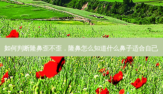如何判断隆鼻歪不歪,隆鼻怎么知道什么鼻子适合自己-第1张图片-美美网 如何判断隆鼻歪不歪,隆鼻怎么知道什么鼻子适合自己-第1张图片-美美网
