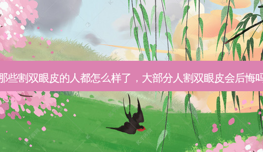 那些割双眼皮的人都怎么样了,大部分人割双眼皮会后悔吗-第1张图片-美美网 那些割双眼皮的人都怎么样了,大部分人割双眼皮会后悔吗-第1张图片-美美网