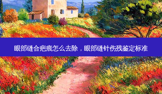 眼部缝合疤痕怎么去除,眼部缝针伤残鉴定标准-第1张图片-美美网 眼部缝合疤痕怎么去除,眼部缝针伤残鉴定标准-第1张图片-美美网