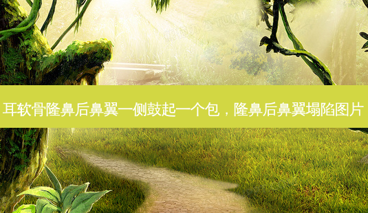 耳软骨隆鼻后鼻翼一侧鼓起一个包,隆鼻后鼻翼塌陷图片-第1张图片-美美网 耳软骨隆鼻后鼻翼一侧鼓起一个包,隆鼻后鼻翼塌陷图片-第1张图片-美美网