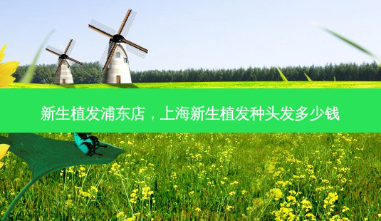 新生植发浦东店,上海新生植发种头发多少钱-第1张图片-美美网 新生植发浦东店,上海新生植发种头发多少钱-第1张图片-美美网