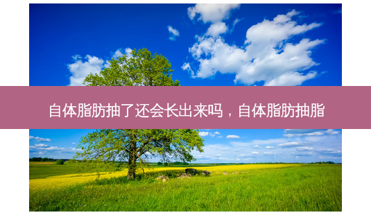 自体脂肪抽了还会长出来吗,自体脂肪抽脂-第1张图片-美美网 自体脂肪抽了还会长出来吗,自体脂肪抽脂-第1张图片-美美网