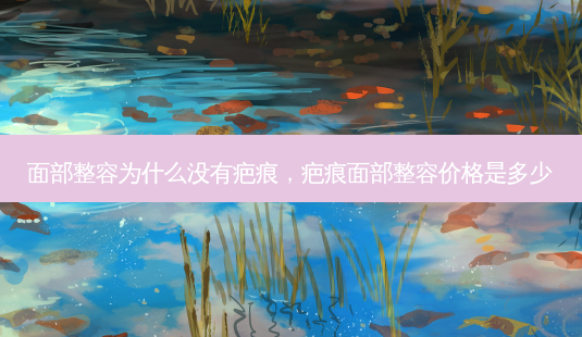 面部整容为什么没有疤痕，疤痕面部整容价格是多少-第1张图片-美美网