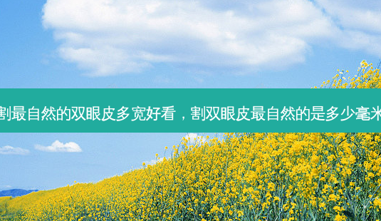 割 *** 自然的双眼皮多宽好看,割双眼皮 *** 自然的是多少毫米-第1张图片-美美网 割 *** 自然的双眼皮多宽好看,割双眼皮 *** 自然的是多少毫米-第1张图片-美美网