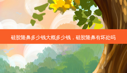 硅胶隆鼻多少钱大概多少钱,硅胶隆鼻有坏处吗-第1张图片-美美网 硅胶隆鼻多少钱大概多少钱,硅胶隆鼻有坏处吗-第1张图片-美美网
