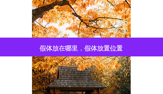假体放在哪里,假体放置位置-第1张图片-美美网 假体放在哪里,假体放置位置-第1张图片-美美网