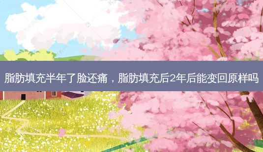 脂肪填充半年了脸还痛,脂肪填充后2年后能变回原样吗-第1张图片-美美网 脂肪填充半年了脸还痛,脂肪填充后2年后能变回原样吗-第1张图片-美美网