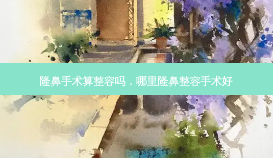 隆鼻手术算整容吗,哪里隆鼻整容手术好-第1张图片-美美网 隆鼻手术算整容吗,哪里隆鼻整容手术好-第1张图片-美美网