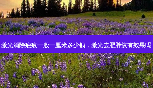 激光消除疤痕一般一厘米多少钱,激光去肥胖纹有效果吗-第1张图片-美美网 激光消除疤痕一般一厘米多少钱,激光去肥胖纹有效果吗-第1张图片-美美网