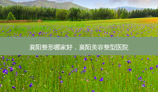 襄阳整形哪家好,襄阳美容整型医院-第1张图片-美美网 襄阳整形哪家好,襄阳美容整型医院-第1张图片-美美网