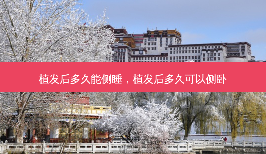 植发后多久能侧睡,植发后多久可以侧卧-第1张图片-美美网 植发后多久能侧睡,植发后多久可以侧卧-第1张图片-美美网