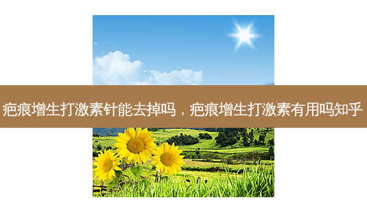 疤痕增生打激素针能去掉吗,疤痕增生打激素有用吗知乎-第1张图片-美美网 疤痕增生打激素针能去掉吗,疤痕增生打激素有用吗知乎-第1张图片-美美网