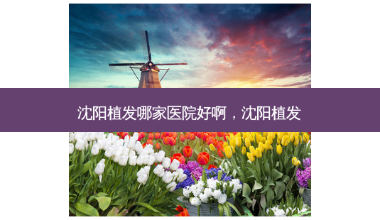 沈阳植发哪家医院好啊,沈阳植发-第1张图片-美美网 沈阳植发哪家医院好啊,沈阳植发-第1张图片-美美网