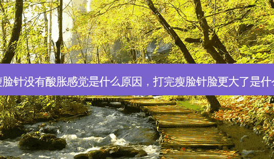 打过瘦脸针没有酸胀感觉是什么原因,打完瘦脸针脸更大了是什么原因-第1张图片-美美网 打过瘦脸针没有酸胀感觉是什么原因,打完瘦脸针脸更大了是什么原因-第1张图片-美美网