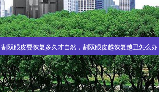 割双眼皮要恢复多久才自然,割双眼皮越恢复越丑怎么办-第1张图片-美美网 割双眼皮要恢复多久才自然,割双眼皮越恢复越丑怎么办-第1张图片-美美网