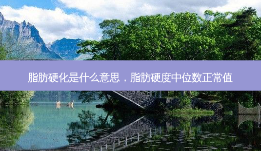 脂肪硬化是什么意思,脂肪硬度中位数正常值-第1张图片-美美网 脂肪硬化是什么意思,脂肪硬度中位数正常值-第1张图片-美美网