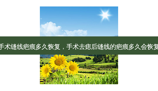 手术缝线疤痕多久恢复,手术去痣后缝线的疤痕多久会恢复-第1张图片-美美网 手术缝线疤痕多久恢复,手术去痣后缝线的疤痕多久会恢复-第1张图片-美美网