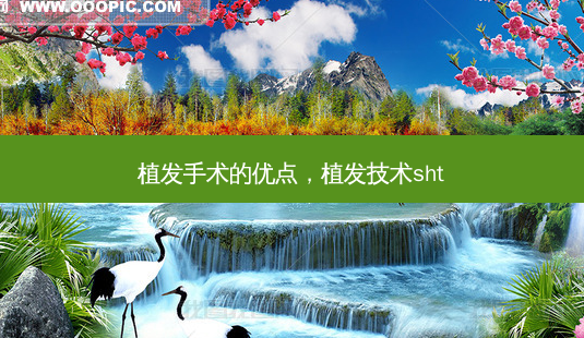 植发手术的优点,植发技术sht-第1张图片-美美网 植发手术的优点,植发技术sht-第1张图片-美美网