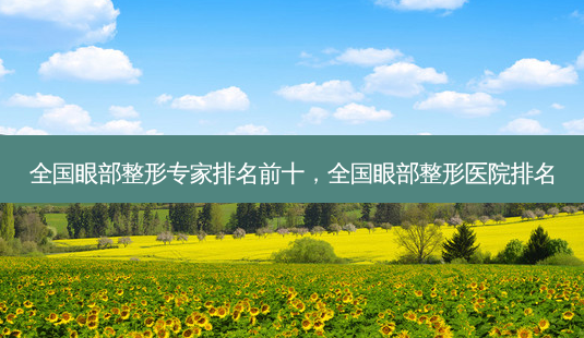 全国眼部整形专家排名前十,全国眼部整形医院排名-第1张图片-美美网 全国眼部整形专家排名前十,全国眼部整形医院排名-第1张图片-美美网
