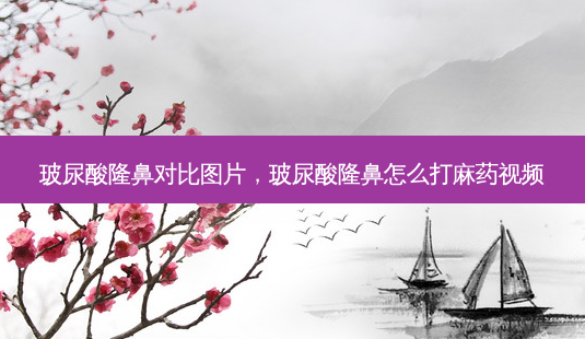 玻尿酸隆鼻对比图片,玻尿酸隆鼻怎么打麻药视频-第1张图片-美美网 玻尿酸隆鼻对比图片,玻尿酸隆鼻怎么打麻药视频-第1张图片-美美网