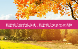 脂肪填充痘坑多少钱，脂肪填充太多怎么消掉