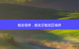 植发很痒，植发后植发区域痒