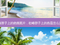杜峰脖子上的疤痕图片，杜峰脖子上的伤是怎么弄的
