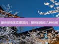 娜绮丽假体是哪国的，娜绮丽假体几种价格