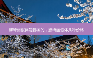 娜绮丽假体是哪国的，娜绮丽假体几种价格