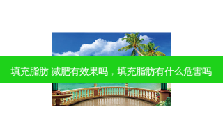 填充脂肪 减肥有效果吗，填充脂肪有什么危害吗