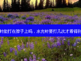水光针能打在脖子上吗，水光针要打几次才看得到效果