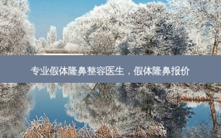 专业假体隆鼻整容医生，假体隆鼻报价
