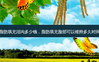 脂肪填充泪沟多少钱，脂肪填充脸部可以维持多久时间