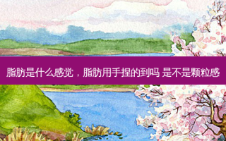 脂肪是什么感觉，脂肪用手捏的到吗 是不是颗粒感