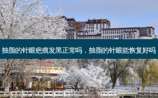 抽脂的针眼疤痕发黑正常吗，抽脂的针眼能恢复好吗