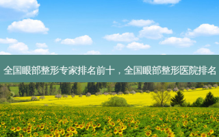 全国眼部整形专家排名前十，全国眼部整形医院排名