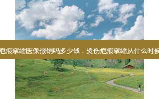 烫伤疤痕挛缩医保报销吗多少钱，烫伤疤痕挛缩从什么时候开始