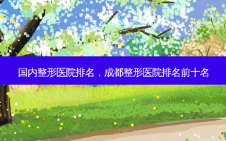 国内整形医院排名，成都整形医院排名前十名